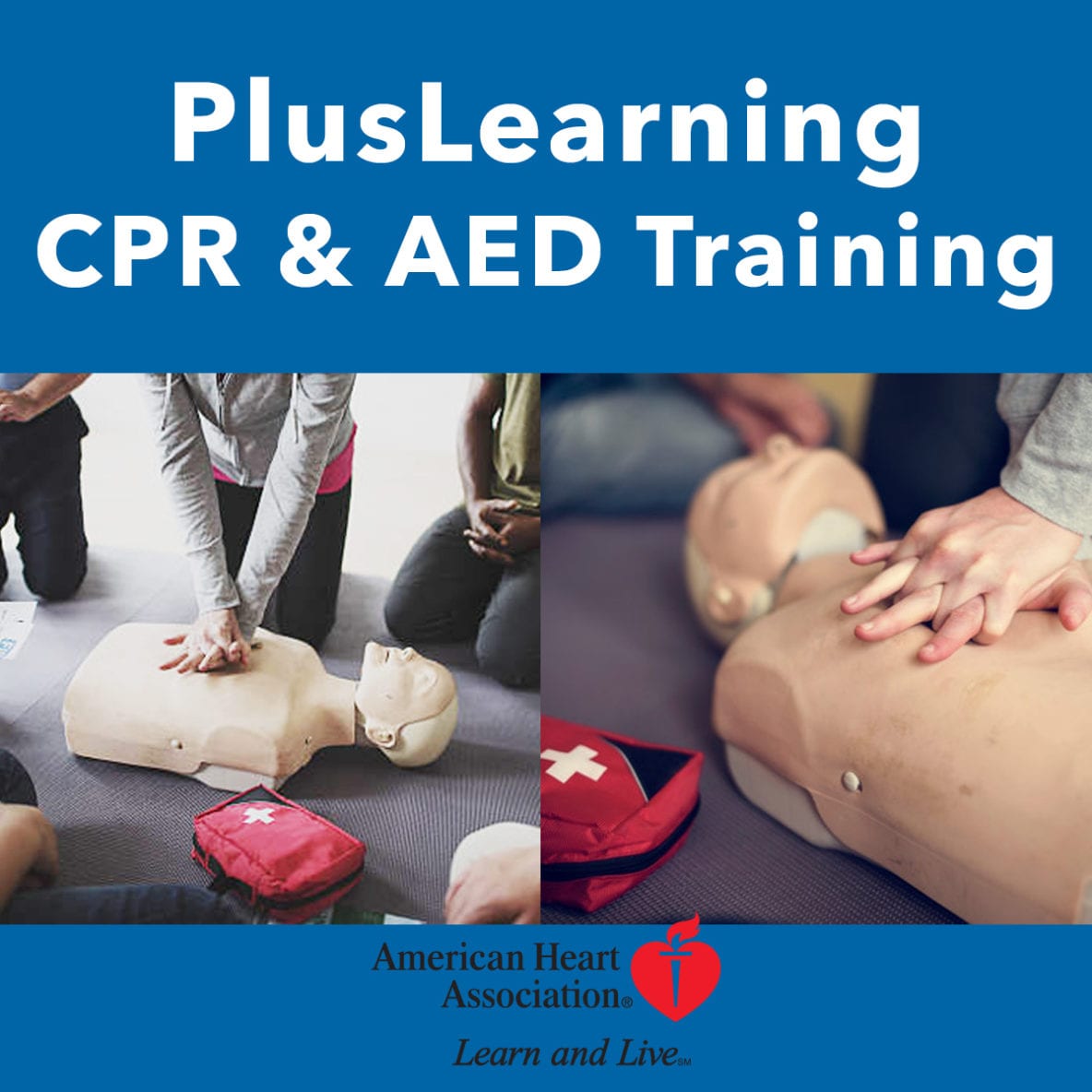 AHA CPR/AED/FA OnSite Training Class (up to 10) Purchase AEDs